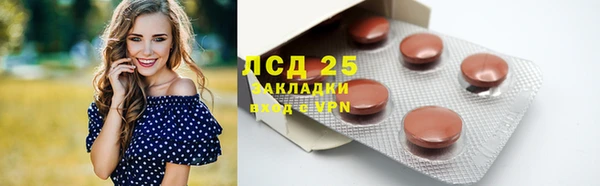 СК Алексин