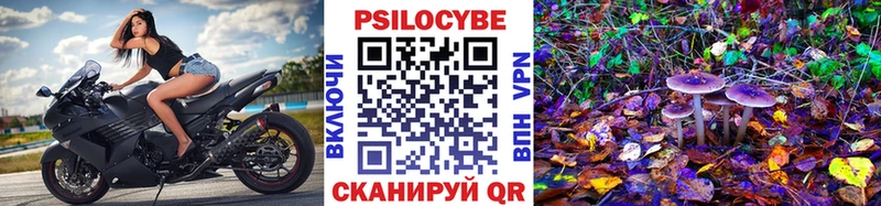 закладка Чебаркуль Галлюциногенные грибы GOLDEN TEACHER
